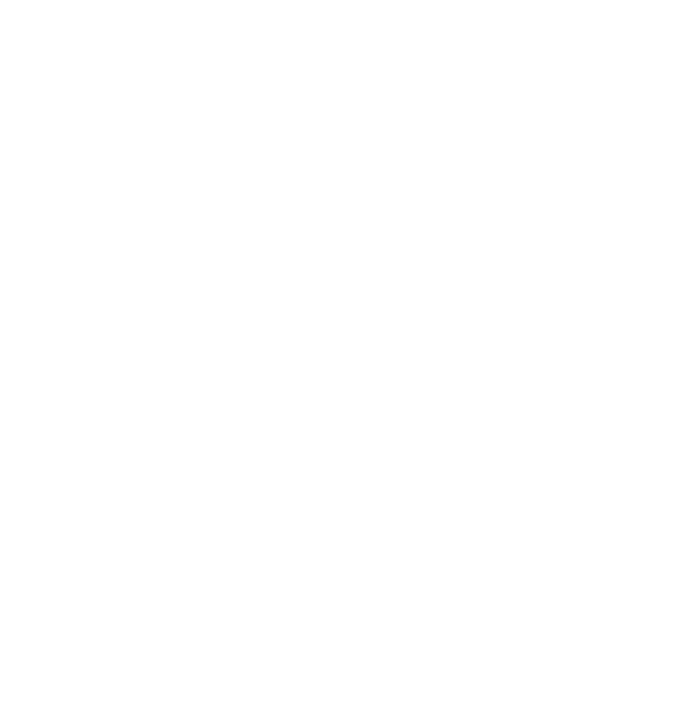 Logo DigitalWerk Schwarzwald in weiss.